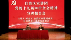 广西壮族自治区宣讲团到广西艺术学校举办党的十九届四中全会精神宣讲报告会