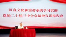 区直文化和旅游系统学习贯彻党的二十届三中全会 精神宣讲报告会在广西艺术学校举行