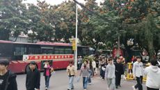 广西艺术学校开展2026年广西职教高考送考活动暨志愿填报辅导讲座